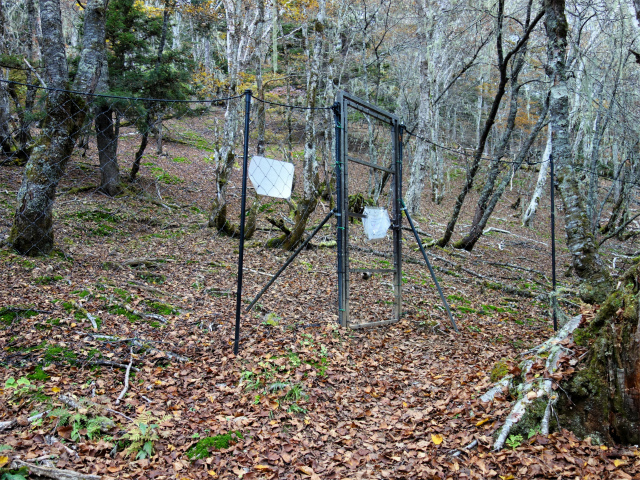 櫛形山（池の茶屋林道口～アヤメ平周回）登山口コースガイド ゲート【登山口ナビ】