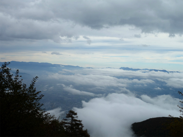 櫛形山（池の茶屋林道口～アヤメ平周回）登山口コースガイド 原生林コースからの奥秩父山塊や大菩薩連嶺の眺望【登山口ナビ】