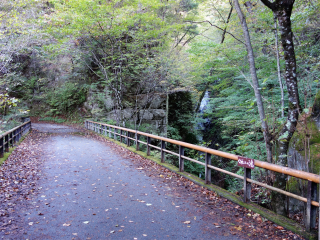 西沢渓谷（渓谷歩道～旧森林軌道周回）登山口コースガイド なれいの滝【登山口ナビ】