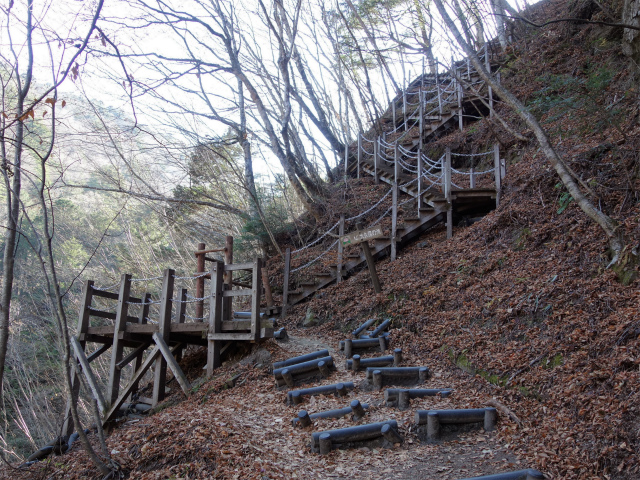 西沢渓谷（渓谷歩道～旧森林軌道周回）登山口コースガイド 階段【登山口ナビ】