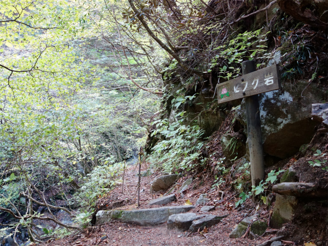 西沢渓谷（渓谷歩道～旧森林軌道周回）登山口コースガイド フグ岩【登山口ナビ】