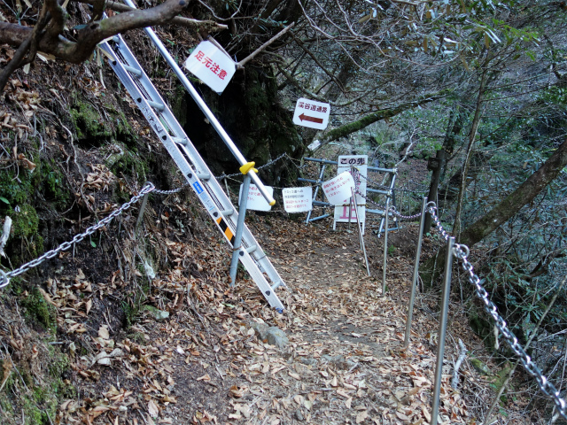 西沢渓谷（渓谷歩道～旧森林軌道周回）登山口コースガイド 滝見橋迂回路【登山口ナビ】