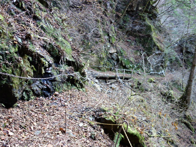 西沢渓谷（渓谷歩道～旧森林軌道周回）登山口コースガイド【登山口ナビ】