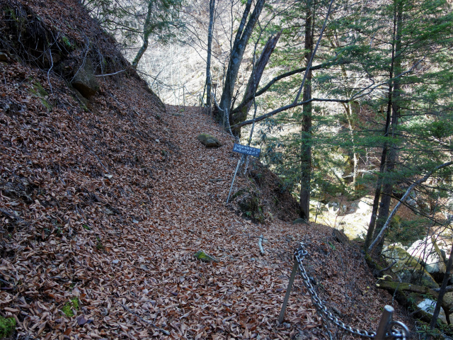 西沢渓谷（渓谷歩道～旧森林軌道周回）登山口コースガイド 水辺分岐【登山口ナビ】