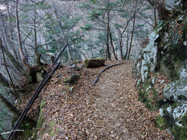 西沢渓谷（渓谷歩道～旧森林軌道周回）登山口コースガイド レール露出【登山口ナビ】