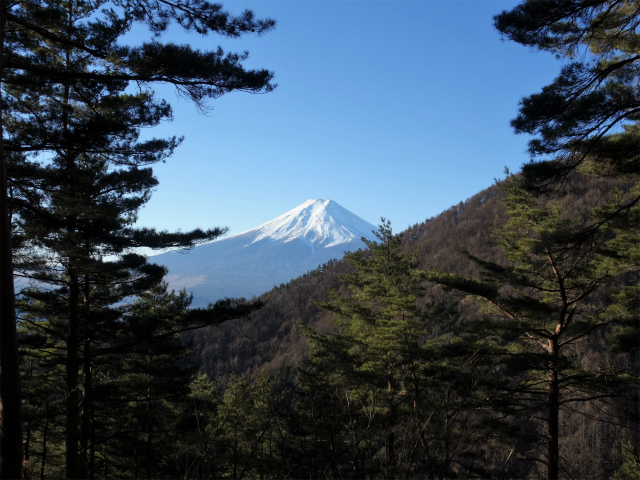 三ツ峠山（達磨石・西桂口）股のぞきからの富士山【登山口コースガイド】