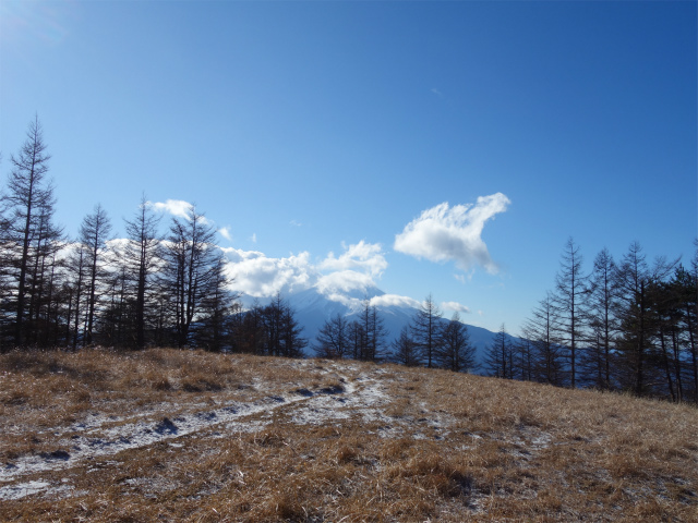 三ツ峠山（達磨石・西桂口）木無山山頂花畑【登山口コースガイド】