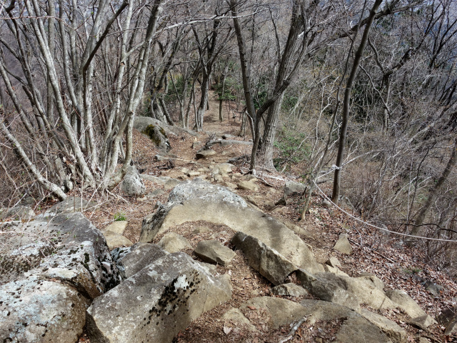 高川山（中谷入～松葉コース）登山口コースガイド 岩の多い急坂【登山口ナビ】