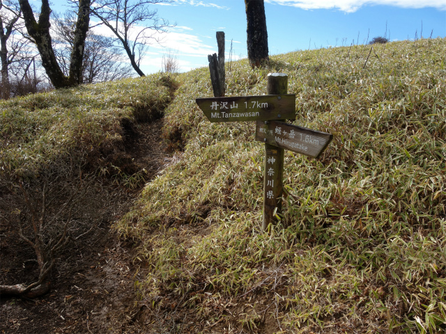 丹沢山（ユーシン～弁当沢ノ頭）登山口コースガイド 柳沢ノ頭分岐【登山口ナビ】
