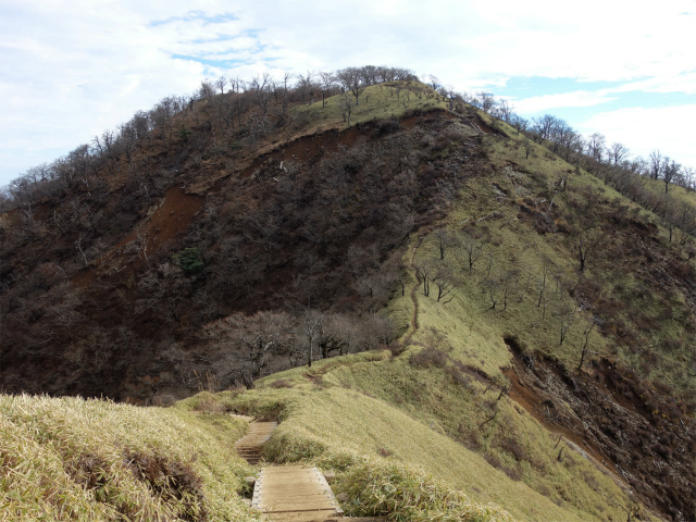 丹沢山（ユーシン～弁当沢ノ頭）登山口コースガイド 不動ノ峰【登山口ナビ】