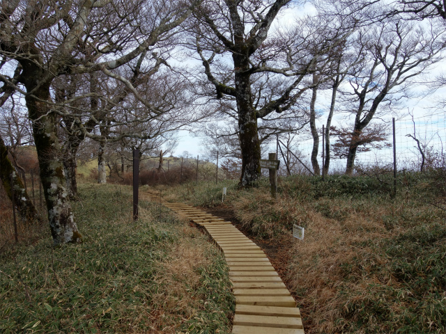 丹沢山（ユーシン～弁当沢ノ頭）登山口コースガイド 不動ノ峰山頂【登山口ナビ】