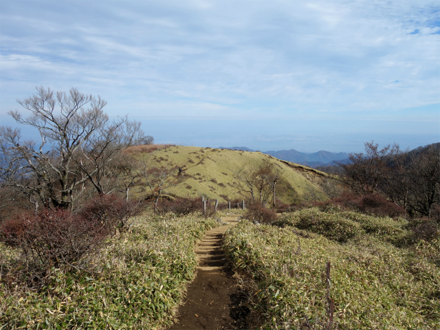 丹沢山（ユーシン～弁当沢ノ頭）登山口コースガイド 小ピーク【登山口ナビ】