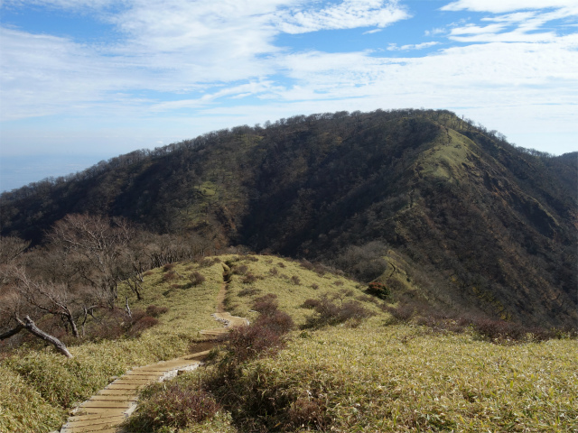 丹沢山（ユーシン～弁当沢ノ頭）登山口コースガイド 小ピークからの丹沢山【登山口ナビ】