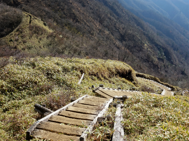 丹沢山（ユーシン～弁当沢ノ頭）登山口コースガイド 急な階段【登山口ナビ】