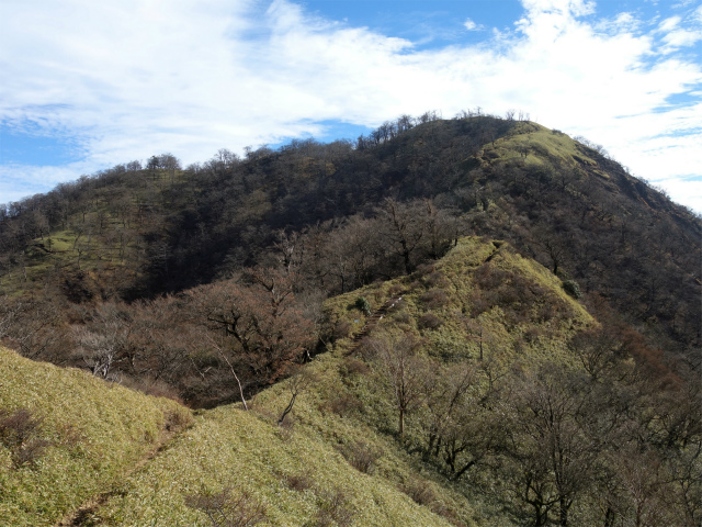 丹沢山（ユーシン～弁当沢ノ頭）登山口コースガイド 鞍部【登山口ナビ】