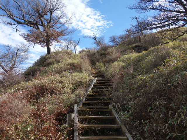 丹沢山（ユーシン～弁当沢ノ頭）登山口コースガイド つるべ落としの坂【登山口ナビ】