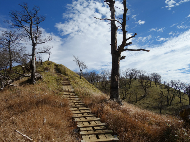 丹沢山（ユーシン～弁当沢ノ頭）登山口コースガイド 山頂目前【登山口ナビ】