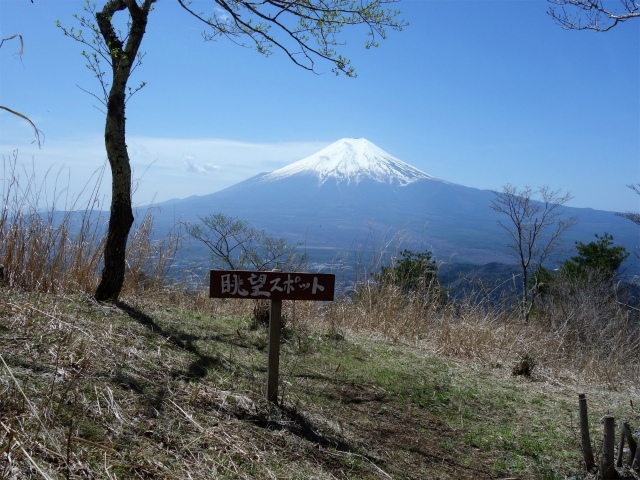 杓子山（不動湯～Zコース）登山口コースガイド 富士山眺望スポット【登山口ナビ】