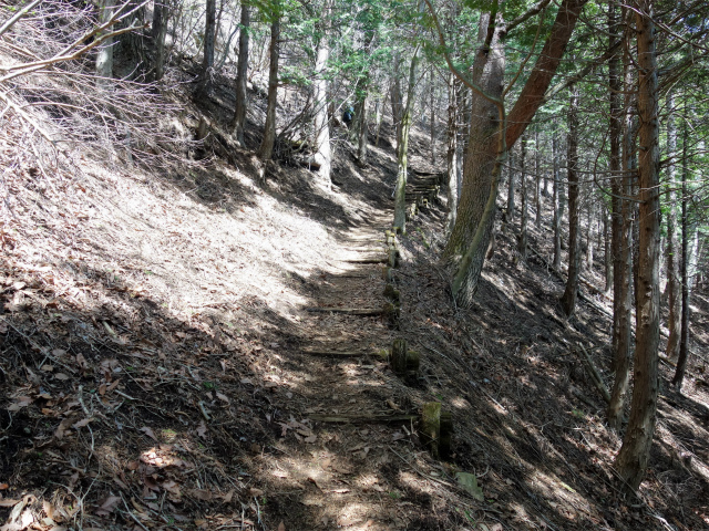 杓子山（不動湯～Zコース）登山口コースガイド 階段【登山口ナビ】
