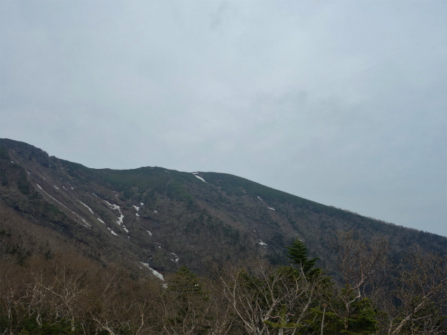 八ヶ岳・横岳（杣添尾根）登山口コースガイド 見晴台からの硫黄岳【登山口ナビ】