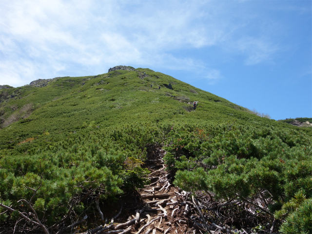 八ヶ岳・横岳（杣添尾根）登山口コースガイド 三叉峰【登山口ナビ】