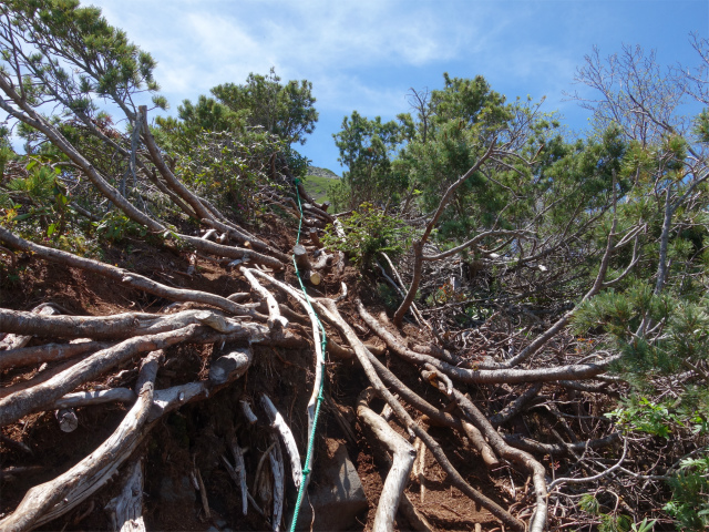 八ヶ岳・横岳（杣添尾根）登山口コースガイド ロープ【登山口ナビ】