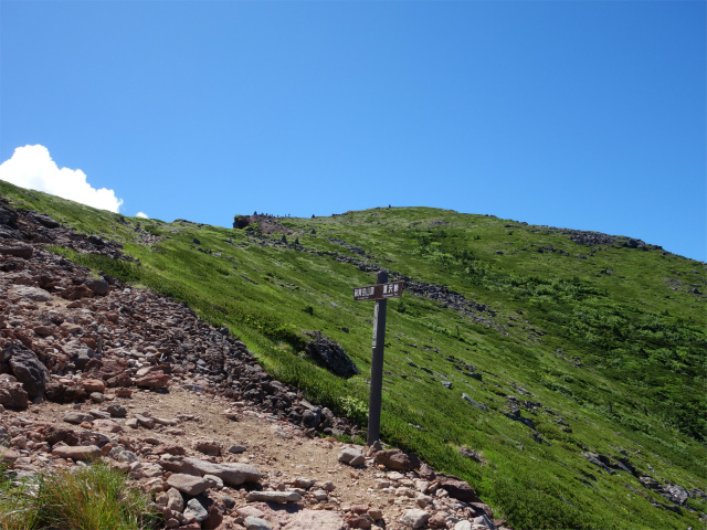 硫黄岳（ミドリ池入口～夏沢峠）登山口コースガイド【登山口ナビ】