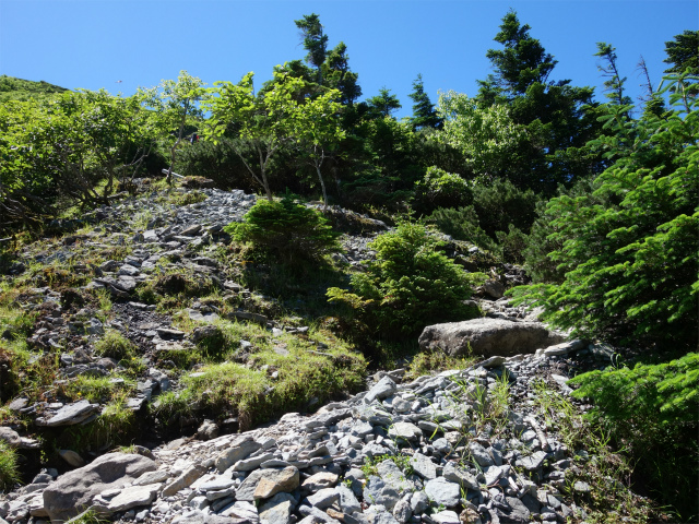 八ヶ岳・硫黄岳（ミドリ池入口～夏沢峠）登山口コースガイド ガレた急登【登山口ナビ】