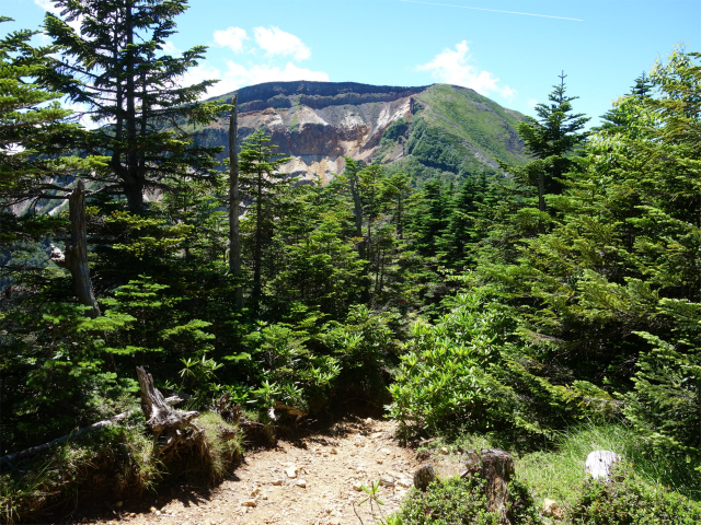 八ヶ岳・天狗岳（白砂新道～夏沢峠周回）登山口コースガイド 箕輪山からの硫黄岳【登山口ナビ】