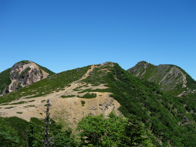八ヶ岳・天狗岳（白砂新道～夏沢峠周回）登山口コースガイド 箕冠山から根石岳の眺望【登山口ナビ】