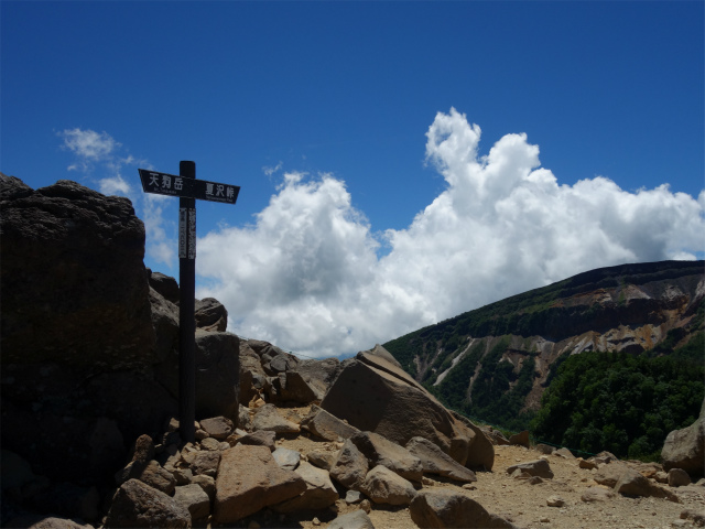 八ヶ岳・天狗岳（白砂新道～夏沢峠周回）登山口コースガイド 根石岳山頂標【登山口ナビ】