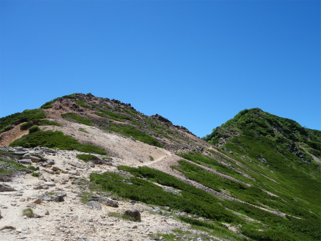 八ヶ岳・天狗岳（白砂新道～夏沢峠周回）登山口コースガイド 根石岳【登山口ナビ】