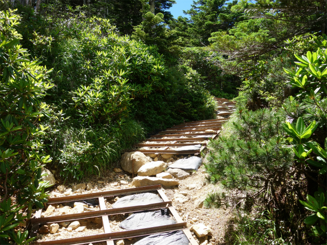 八ヶ岳・天狗岳（白砂新道～夏沢峠周回）登山口コースガイド 鉄フレーム【登山口ナビ】