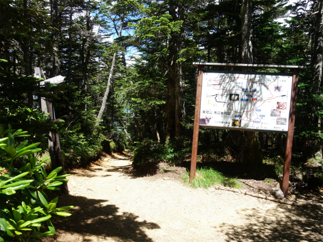 八ヶ岳・天狗岳（白砂新道～夏沢峠周回）登山口コースガイド 箕冠山山頂【登山口ナビ】