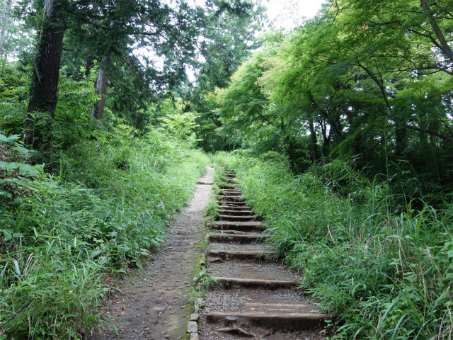 高尾山6号路（びわ滝コース）・景信山 登山口コースガイド 長い階段【登山口ナビ】