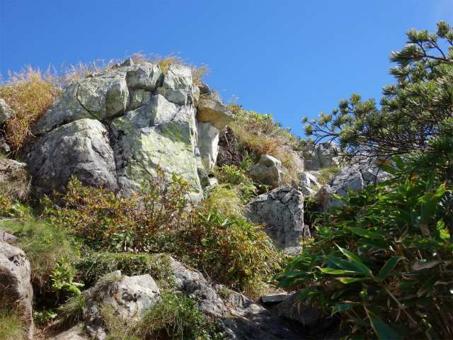中ノ岳（十字峡～日向山）登山口コースガイド 露岩の急登【登山口ナビ】