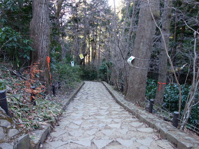 高尾山6号路（びわ滝コース）・景信山 登山口コースガイド 山頂直下の石畳の階段【登山口ナビ】