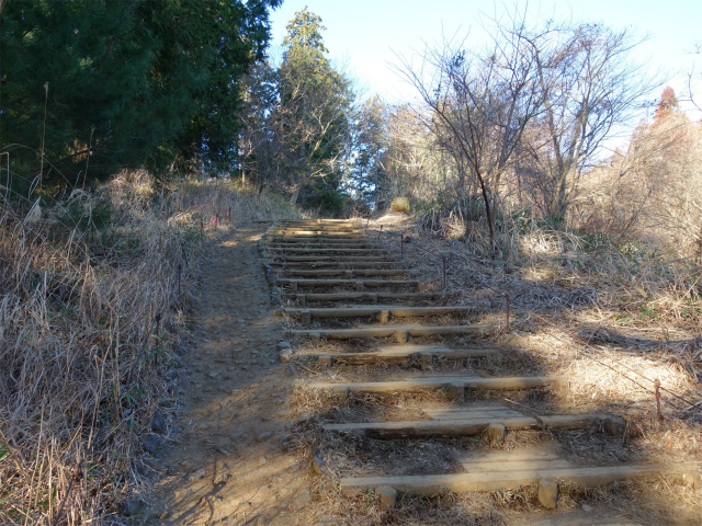 高尾山6号路（びわ滝コース）・景信山 登山口コースガイド 長い階段【登山口ナビ】