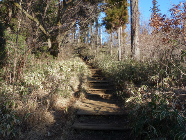 高尾山6号路（びわ滝コース）・景信山 登山口コースガイド 階段【登山口ナビ】
