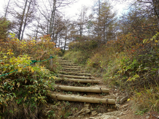 入笠山（沢入登山口～御所平峠）登山口コースガイド 階段【登山口ナビ】