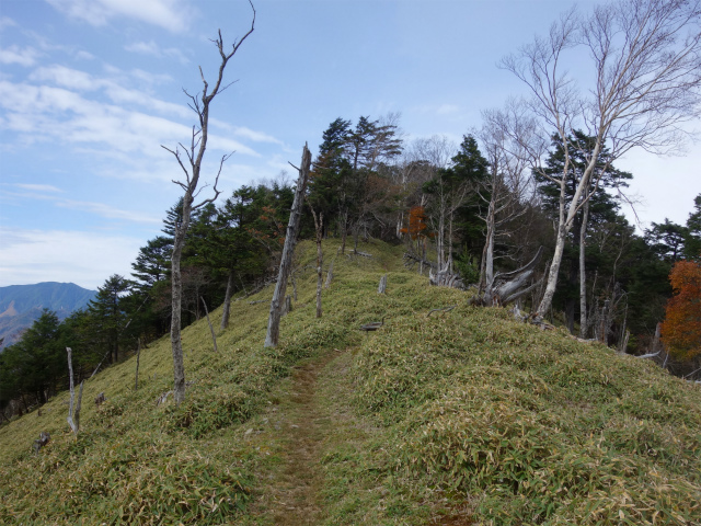笠取山・古礼山（作場平～ヤブ沢峠）登山口コースガイド 稜線【登山口ナビ】