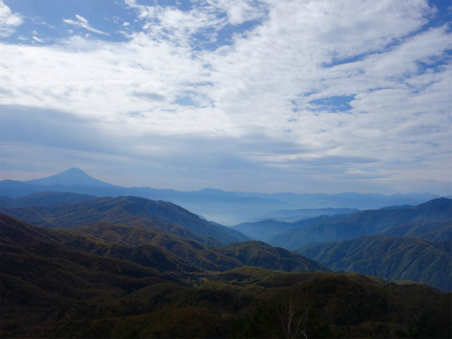 笠取山・古礼山（作場平～ヤブ沢峠）登山口コースガイド 稜線から富士山の眺望【登山口ナビ】