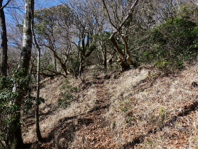 塔ノ岳（日高東尾根・寿岳）登山口コースガイド 踏み跡【登山口ナビ】