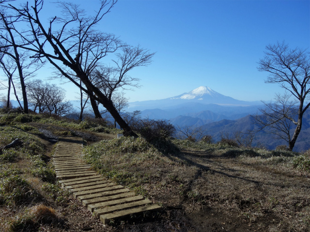 塔ノ岳（日高東尾根・寿岳）登山口コースガイド 小ピークからの富士山【登山口ナビ】