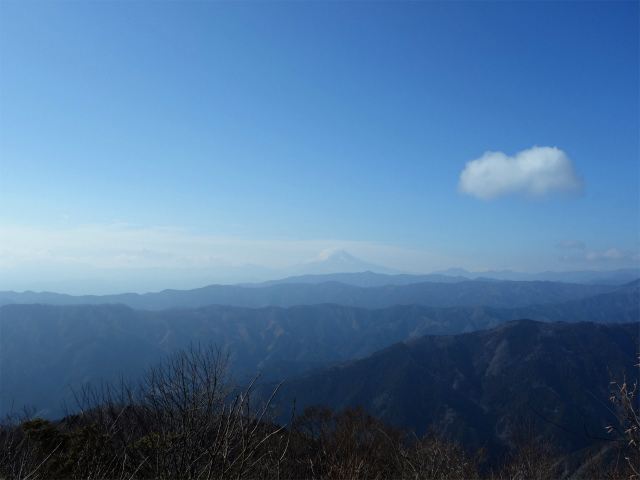 大岳山（鋸尾根）登山口コースガイド 大岳山山頂から富士山の眺望【登山口ナビ】
