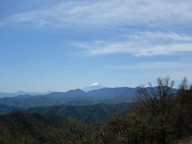 雲取山（三条の湯・水無尾根）登山口コースガイド 三条ダルミからの富士山【登山口ナビ】