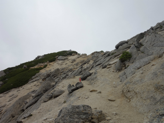 甲斐駒ヶ岳（北沢峠～双子山ルート）登山口コースガイド 砂礫の急斜面【登山口ナビ】