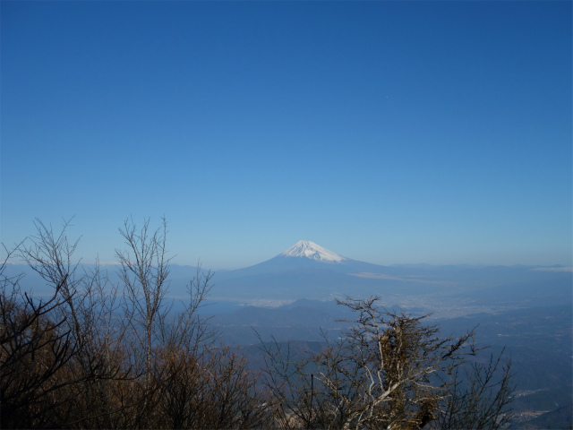 天城山（万二郎岳～万三郎岳周回）登山口コースガイド 山頂直下からの富士山の眺望【登山口ナビ】