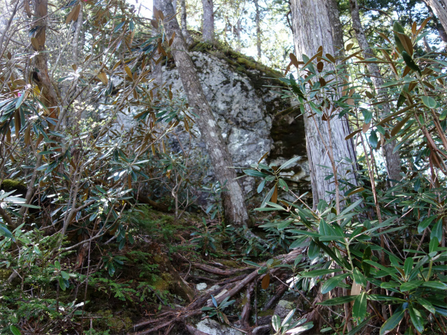 黒金山（西沢渓谷～牛首のタル） 登山口コースガイド 大きな岩【登山口ナビ】