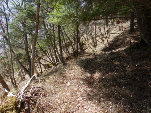 黒金山（西沢渓谷～牛首のタル） 登山口コースガイド 笹面【登山口ナビ】